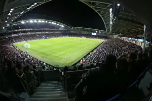 Intense Premier League Showdown: Brighton & Hove Albion vs. Crystal Palace (November 2017)