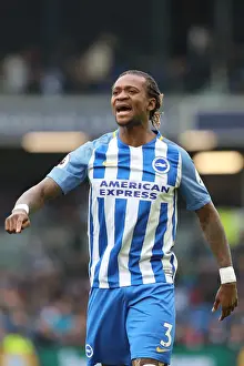Intense Premier League Showdown: Brighton & Hove Albion vs. Leicester City (31MAR18)