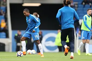 Intense Premier League Showdown: Brighton & Hove Albion vs. Leicester City (31MAR18)