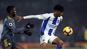 Intense Premier League Showdown: Brighton & Hove Albion vs. Leicester City (November 2018)