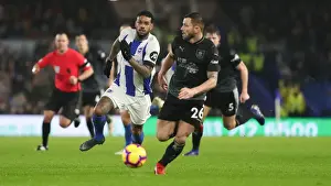 Intense Premier League Showdown: Brighton & Hove Albion vs. Burnley (February 2019)