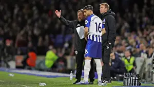Intense Premier League Showdown: Brighton & Hove Albion vs. Watford (08FEB20)