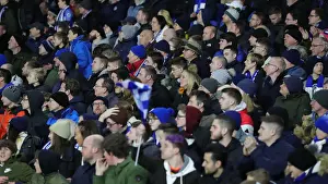 Intense Premier League Showdown: Brighton & Hove Albion vs. Watford (08FEB20)