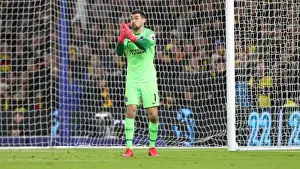 Intense Premier League Showdown: Brighton & Hove Albion vs. Watford (08FEB20)