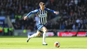 Intense Premier League Showdown: Brighton & Hove Albion vs. Crystal Palace (February 2020)