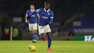 Intense Premier League Showdown: Brighton & Hove Albion vs. Wolverhampton Wanderers (02JAN21)