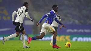Intense Premier League Showdown: Brighton & Hove Albion vs. Fulham (27Jan21)