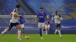 Intense Premier League Showdown: Brighton & Hove Albion vs. Fulham (27Jan21)