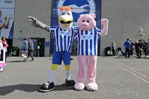 Intense Premier League Showdown: Brighton & Hove Albion vs. Southampton (24APR22)