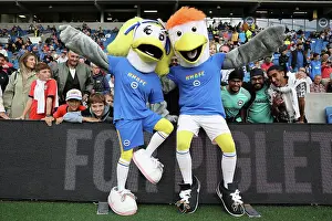 Intense Premier League Showdown: Brighton & Hove Albion vs. Chelsea (29.11.22)