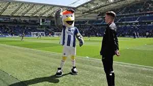 Intense Premier League Showdown: Brighton & Hove Albion vs. Wolverhampton Wanderers (29APR23)