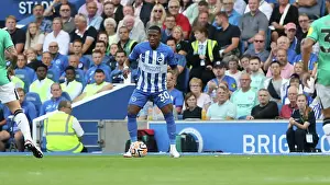 Intense Premier League Showdown: Brighton & Hove Albion vs. Newcastle United (02SEP23)