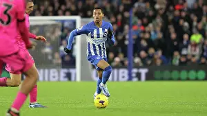 Intense Premier League Showdown: Brighton & Hove Albion vs. Fulham (29th October 2023)