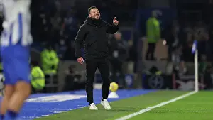 Intense Premier League Showdown: Brighton & Hove Albion vs. Brentford (6th December 2023)
