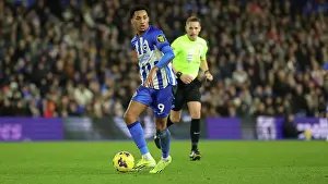 Intense Premier League Showdown: Brighton & Hove Albion vs. Wolverhampton Wanderers (January 21, 2024)
