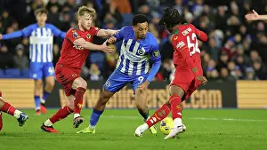 Intense Premier League Showdown: Brighton & Hove Albion vs. Wolverhampton Wanderers (January 21, 2024)