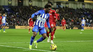 Intense Premier League Showdown: Brighton & Hove Albion vs. Wolverhampton Wanderers (January 21, 2024)