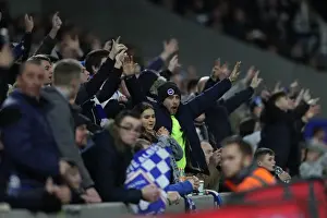 Intense Premier League Showdown: Brighton & Hove Albion vs Liverpool (January 2019)