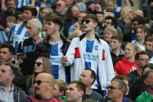 Intense Premier League Showdown: Brighton & Hove Albion vs Manchester City (12 May 2019)