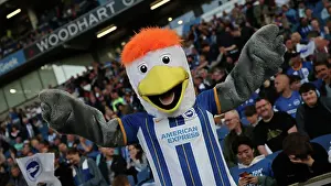 Intense Premier League Showdown: Brighton & Hove Albion vs Manchester City (24May23)