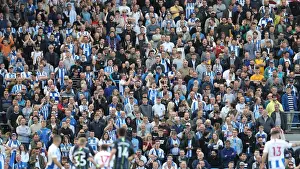 Intense Premier League Showdown: Brighton & Hove Albion vs Manchester City (May 12, 2019)