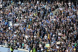 Intense Premier League Showdown: Brighton & Hove Albion vs Manchester City (May 12, 2019)
