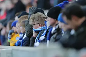 Intense Premier League Showdown: Brighton & Hove Albion vs Swansea City (24FEB18)