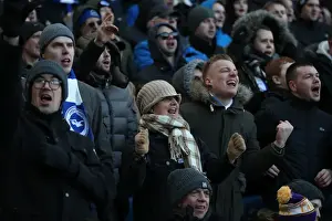 Intense Premier League Showdown: Brighton & Hove Albion vs Swansea City (24FEB18)