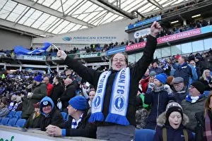 Intense Premier League Showdown: Brighton & Hove Albion vs Swansea City (24FEB18)