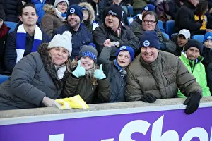 Intense Premier League Showdown: Brighton & Hove Albion vs Swansea City (24FEB18)