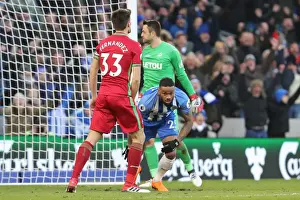 Intense Premier League Showdown: Brighton & Hove Albion vs Swansea City (24FEB18)