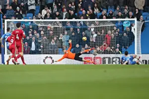 Intense Premier League Showdown: Brighton & Hove Albion vs Swansea City (24FEB18)