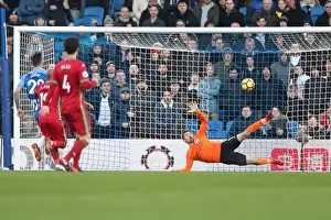 Intense Premier League Showdown: Brighton & Hove Albion vs Swansea City (24FEB18)
