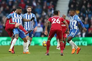 Intense Premier League Showdown: Brighton & Hove Albion vs Swansea City (24FEB18)