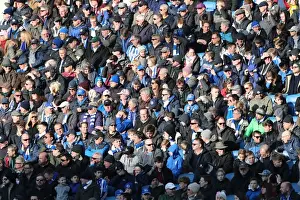 Intense Premier League Showdown: Brighton & Hove Albion vs Swansea City - 24th February 2018
