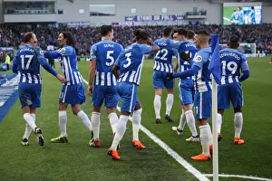 Intense Premier League Showdown: Brighton & Hove Albion vs Swansea City - 24th February 2018