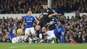 Intense Premier League Showdown: Everton vs. Brighton and Hove Albion at Goodison Park (11Jan20)