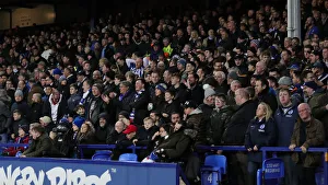 Intense Premier League Showdown: Everton vs. Brighton and Hove Albion at Goodison Park (11Jan20)