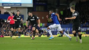 Intense Premier League Showdown: Everton vs. Brighton and Hove Albion at Goodison Park (11Jan20)