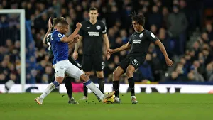 Intense Premier League Showdown: Everton vs. Brighton and Hove Albion at Goodison Park (11Jan20)