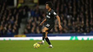 Intense Premier League Showdown: Everton vs. Brighton and Hove Albion at Goodison Park (11Jan20)