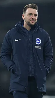 Intense Premier League Showdown: Fulham vs. Brighton and Hove Albion (29 JAN 19)