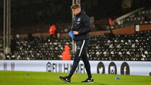 Intense Premier League Showdown: Fulham vs. Brighton and Hove Albion (29 JAN 19)