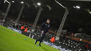 Intense Premier League Showdown: Fulham vs. Brighton and Hove Albion (29 JAN 19)