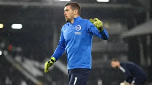 Intense Premier League Showdown: Fulham vs. Brighton and Hove Albion at Craven Cottage (29 JAN 19)