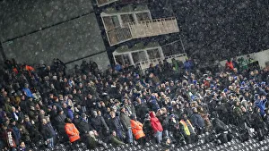 Intense Premier League Showdown: Fulham vs. Brighton and Hove Albion (29 JAN 19)