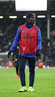 Intense Premier League Showdown: Fulham vs. Brighton and Hove Albion at Craven Cottage (29 JAN 19)