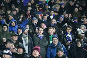 Intense Premier League Showdown: Fulham vs. Brighton and Hove Albion at Craven Cottage (29 JAN 19)