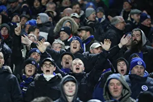 Intense Premier League Showdown: Fulham vs. Brighton and Hove Albion (29 JAN 19)