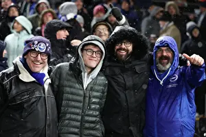 Intense Premier League Showdown: Fulham vs. Brighton and Hove Albion (29 JAN 19)
